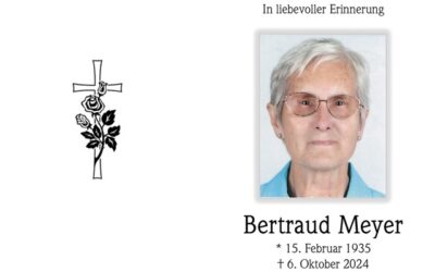 Bertraud Meyer